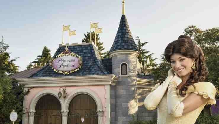 princesa de disney y castillo