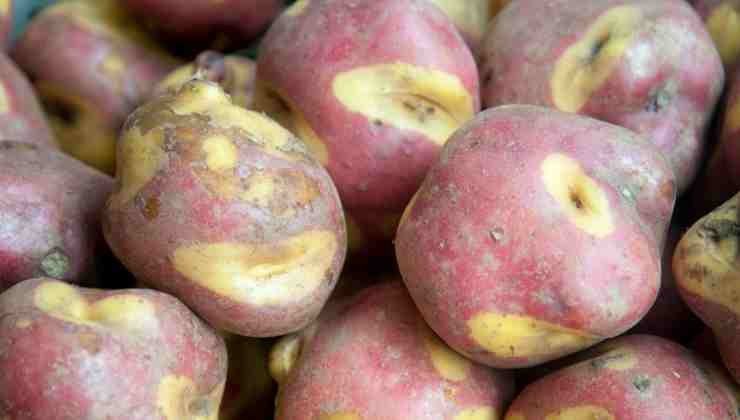 papas peruanas