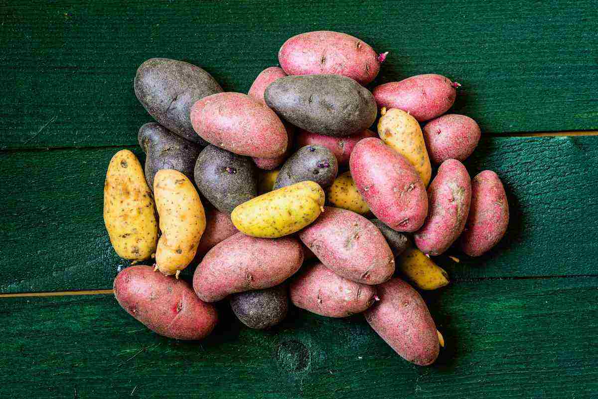 patatas