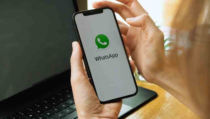 app de whatsapp en movil