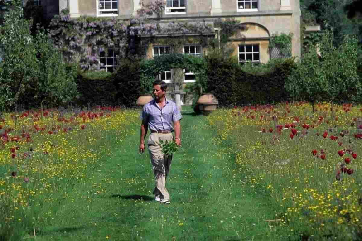 rey carlos caminando por el jardin