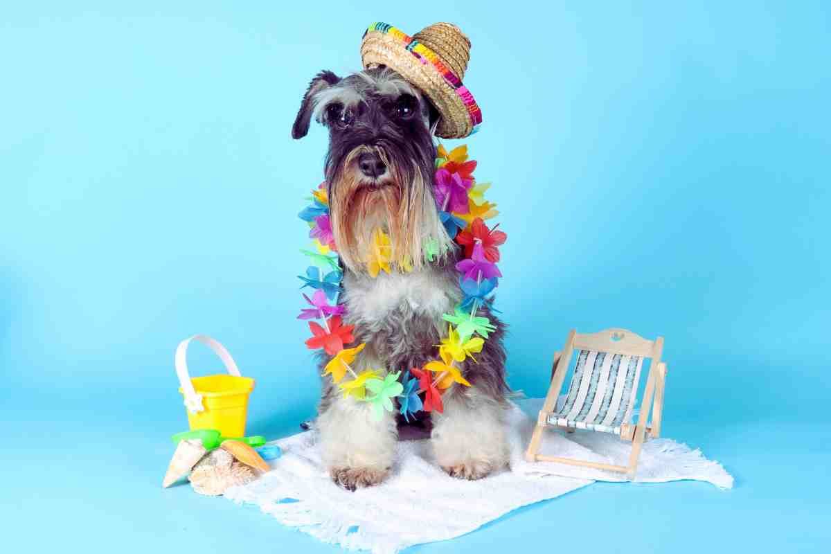 Crucero de lujo para perros: ¿un exceso para nuestros amigos de cuatro patas?