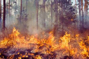 incendios