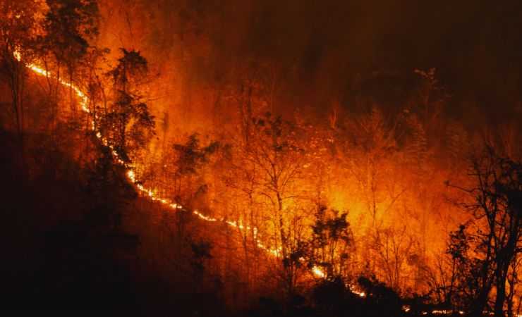 incendios espana