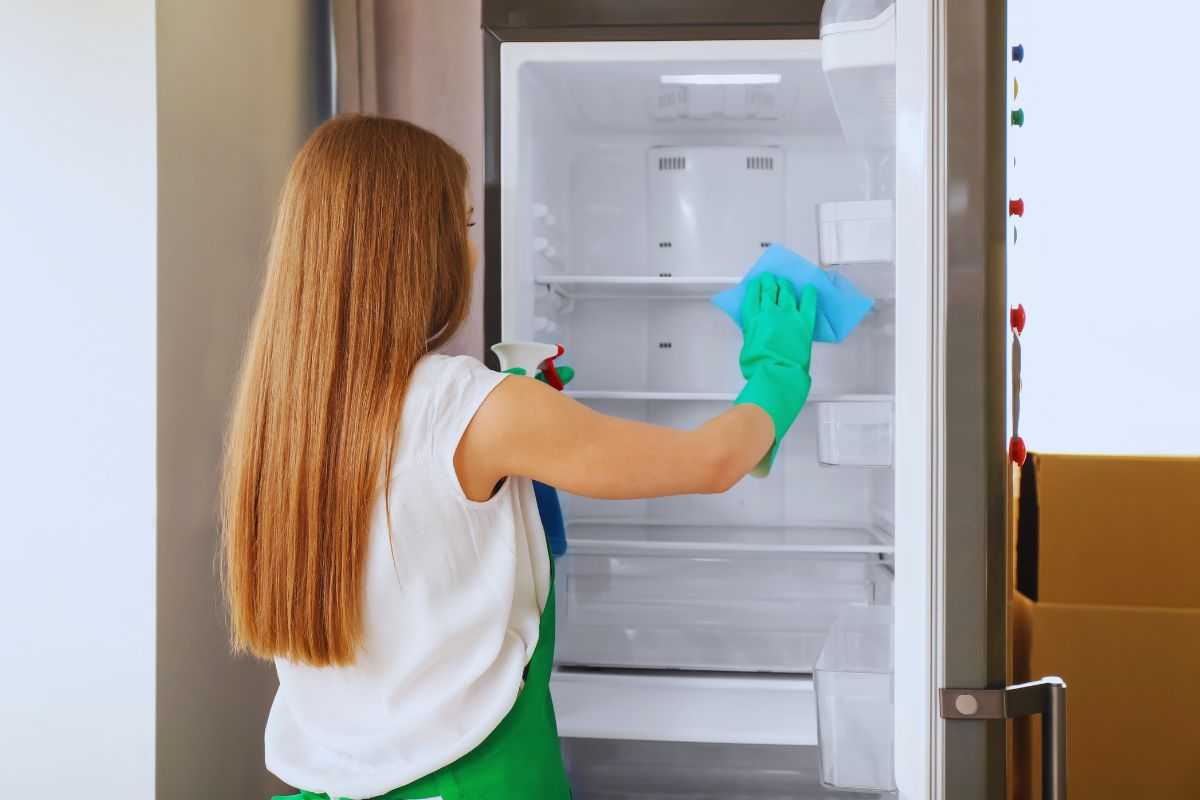 Frigorífico limpio: la solución definitiva para tu hogar