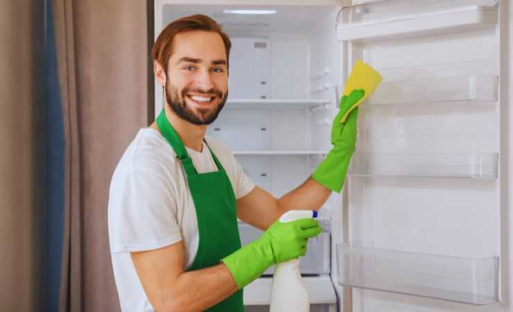 frigo limpio
