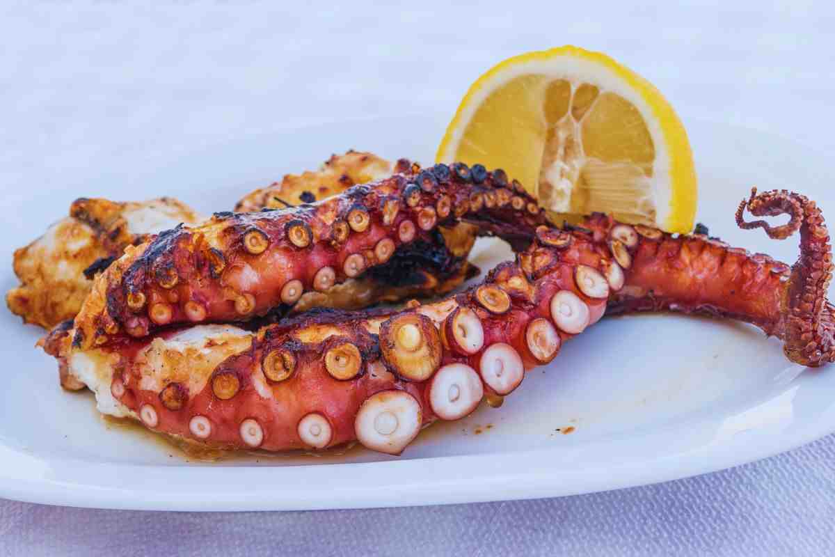 pulpo