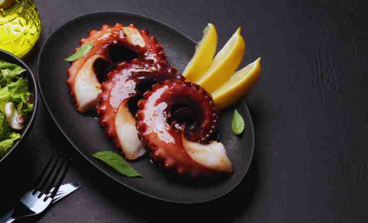 pulpo