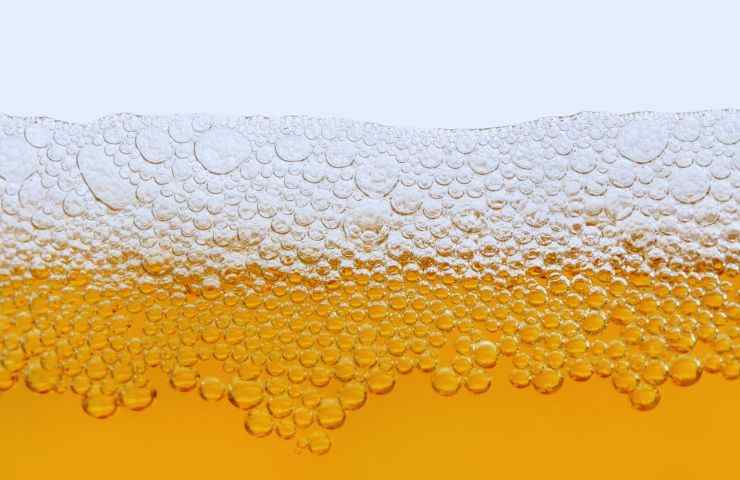 cerveza